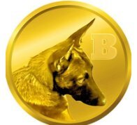 BROCCOLI ($F2B) Surges Past $5M Daily Volume as Founder Burns 81.5% Supply and CTO Meets CZ at Binance Demo Day
