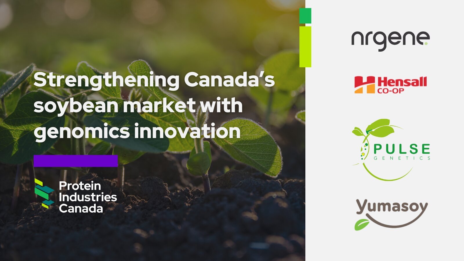 New Investment to Strengthen Canada’s Specialty Soybean Market and Boost Plant-Based Innovation