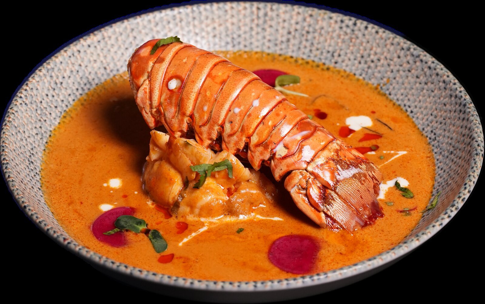 ROOH Officially Opens in Toronto With Focus on Health-Conscious Indian Cuisine
