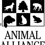 Ontario Poised to be Leader on Protecting Dogs and Cats Used in Research – Animal Alliance Calls for Stronger, Enforceable Regulations