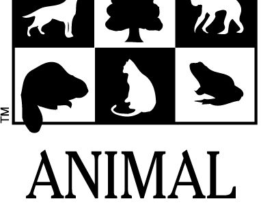 Ontario Poised to be Leader on Protecting Dogs and Cats Used in Research – Animal Alliance Calls for Stronger, Enforceable Regulations