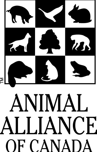 Ontario Poised to be Leader on Protecting Dogs and Cats Used in Research – Animal Alliance Calls for Stronger, Enforceable Regulations