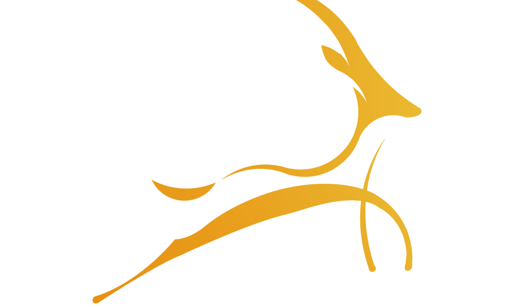 Vietnam's Digital Asset Pioneer Advances Real-World Asset Tokenization Strategy with OnusChain Partnership