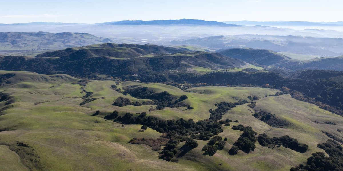 Peninsula Open Space Trust Purchases and Permanently Protects Additional 2,284 Acres of Sargent Ranch in South Santa Clara County