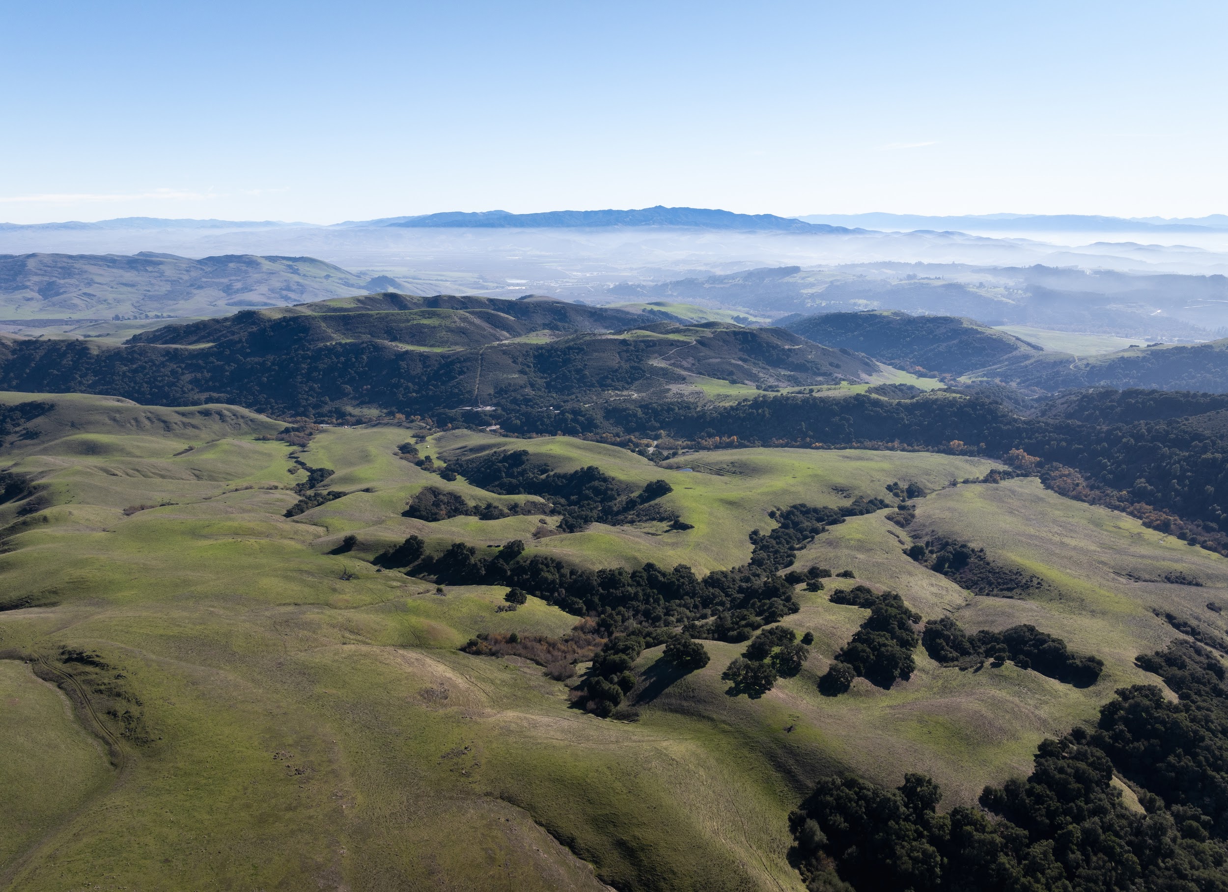 Peninsula Open Space Trust Purchases and Permanently Protects Additional 2,284 Acres of Sargent Ranch in South Santa Clara County