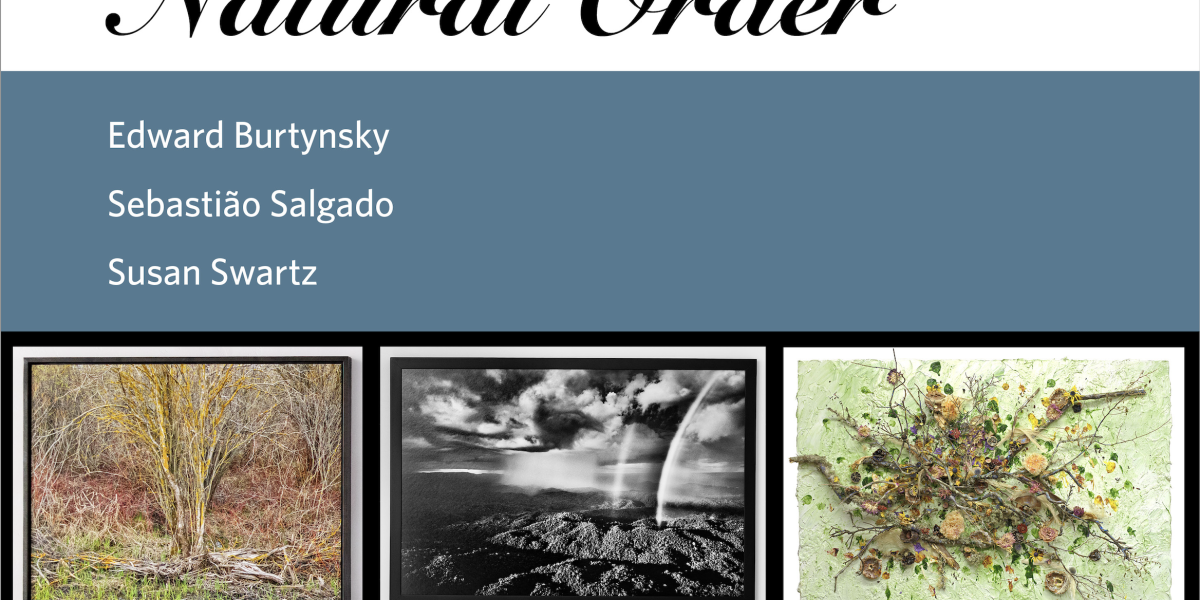 Susan Swartz Studios Presents Natural Order