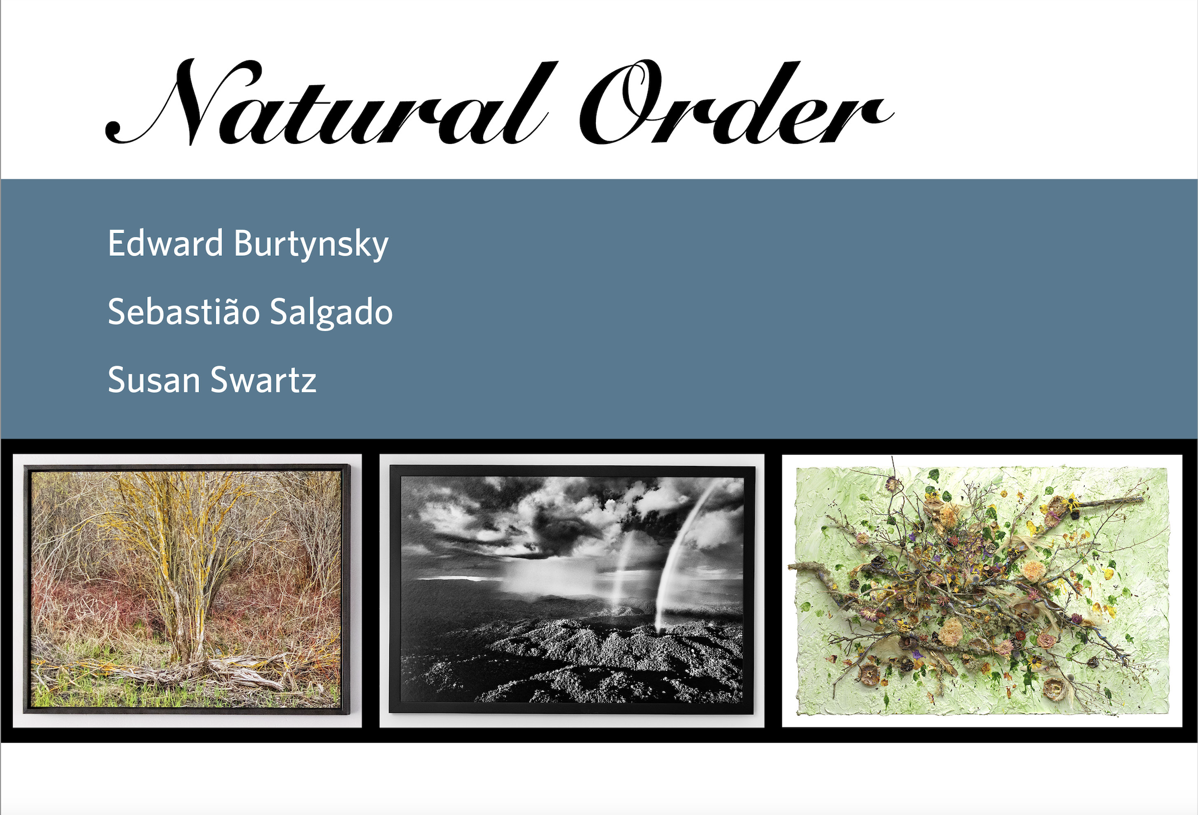 Susan Swartz Studios Presents Natural Order