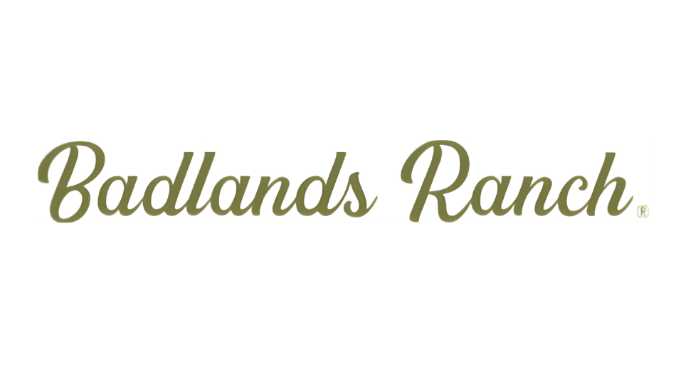 Which Dog Food Qualifies as "Healthy" in 2026? Small Dog vs Senior Dog Needs — Badlands Ranch Superfood Complete Consumer Analysis