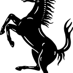 DIVIDEND DISTRIBUTION PROPOSAL