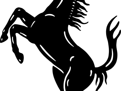 DIVIDEND DISTRIBUTION PROPOSAL