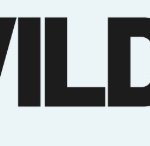 Inside WILDx, the Platform Redefining How Voices Become Authority