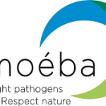 Amoéba receives its first order from Koppert and confirms its transformation into a commercial company