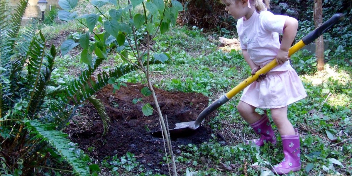 Canada’s ChariTree Foundation marks 20 years on Earth Day with Global Call for Children’s Climate Education and tree planting initiative