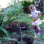 Canada’s ChariTree Foundation marks 20 years on Earth Day with Global Call for Children’s Climate Education and tree planting initiative
