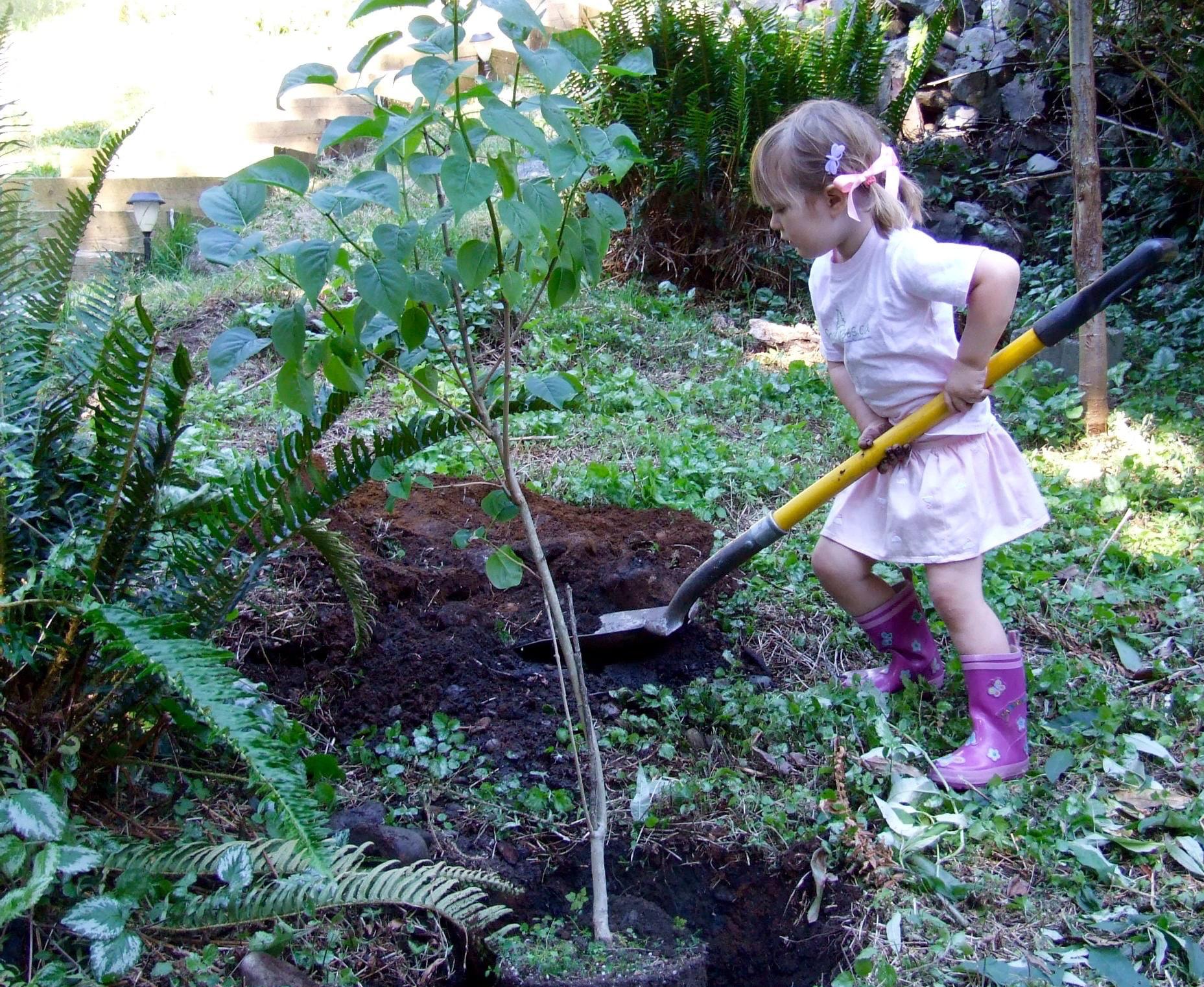 Canada’s ChariTree Foundation marks 20 years on Earth Day with Global Call for Children’s Climate Education and tree planting initiative