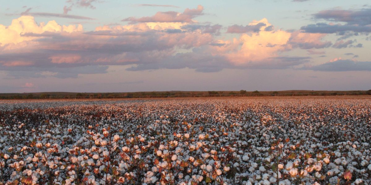 Capital Farm Credit acquires Ag Crop Insurance Agency