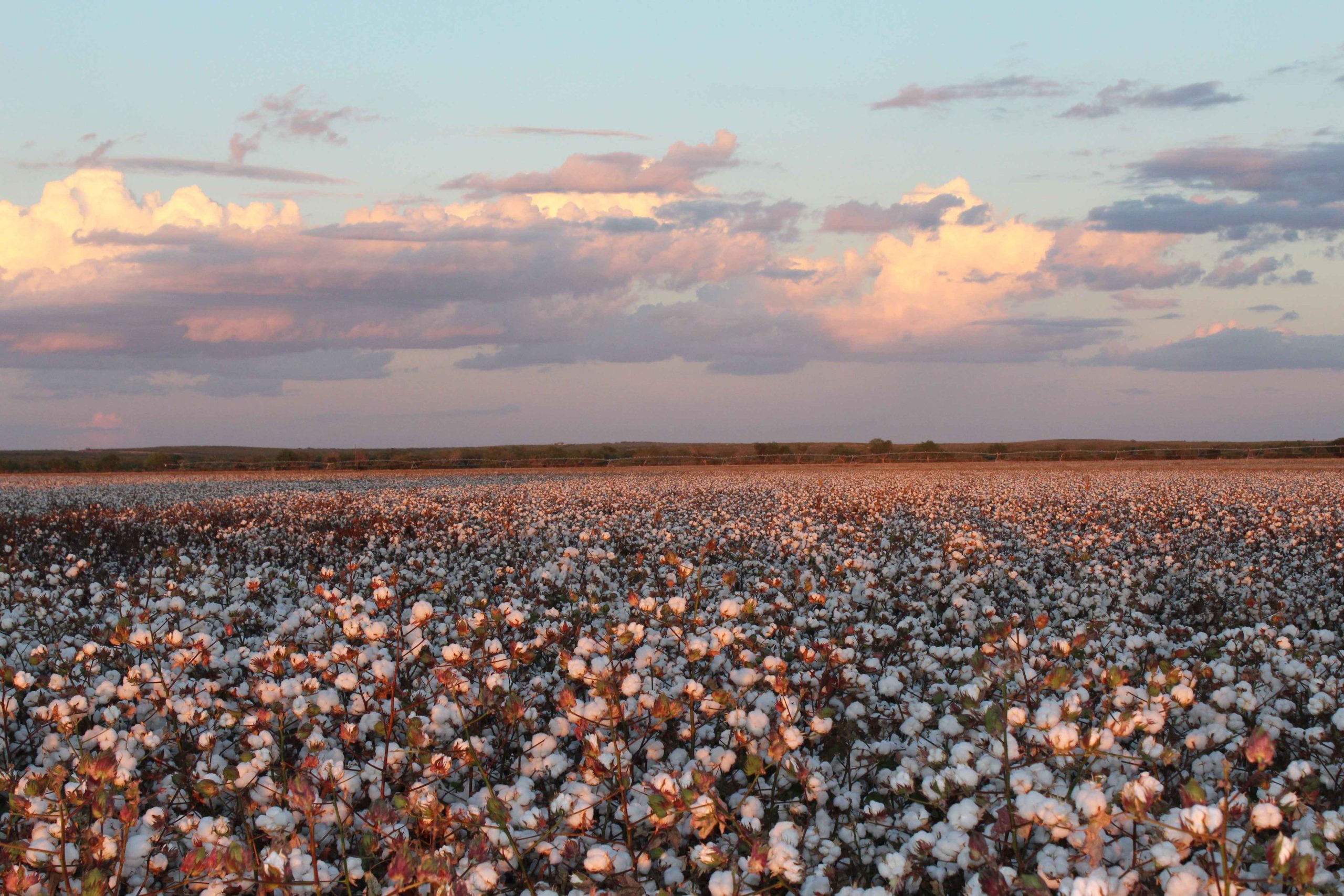 Capital Farm Credit acquires Ag Crop Insurance Agency