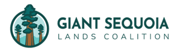 Giant Sequoia Lands Coalition 2025 Progress Report Shows Accelerating Restoration Efforts