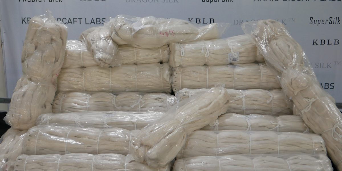Kraig Biocraft Laboratories Reports Major Progress Converting Record-Setting Spider Silk Cocoon Production into Reeled Silk