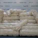 Kraig Biocraft Laboratories Reports Major Progress Converting Record-Setting Spider Silk Cocoon Production into Reeled Silk
