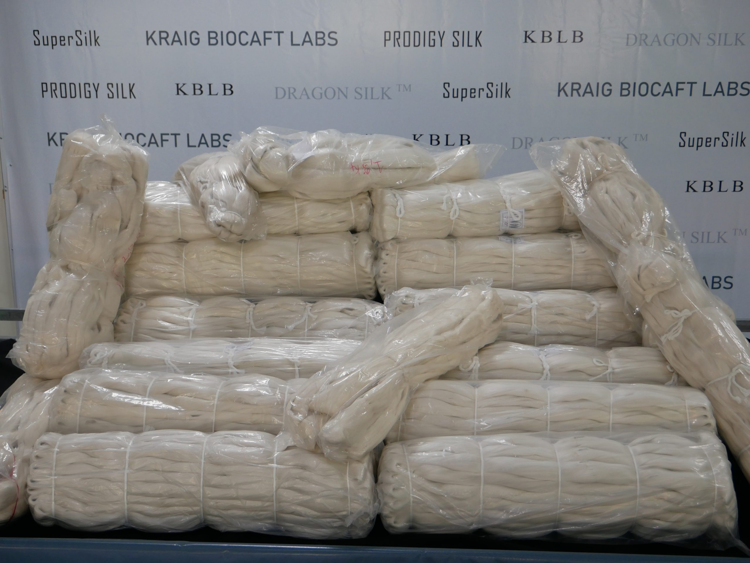 Kraig Biocraft Laboratories Reports Major Progress Converting Record-Setting Spider Silk Cocoon Production into Reeled Silk