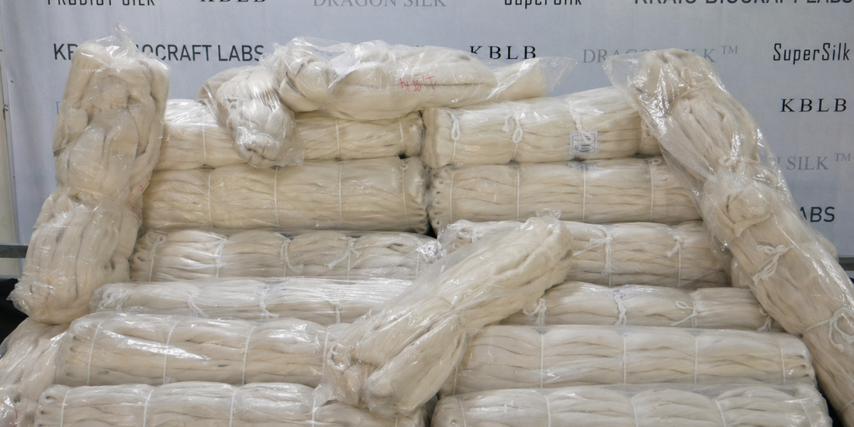 Kraig Labs Clears Dual Commercialization Milestones with Record Spider Silk Production and Successful Reeling Operations