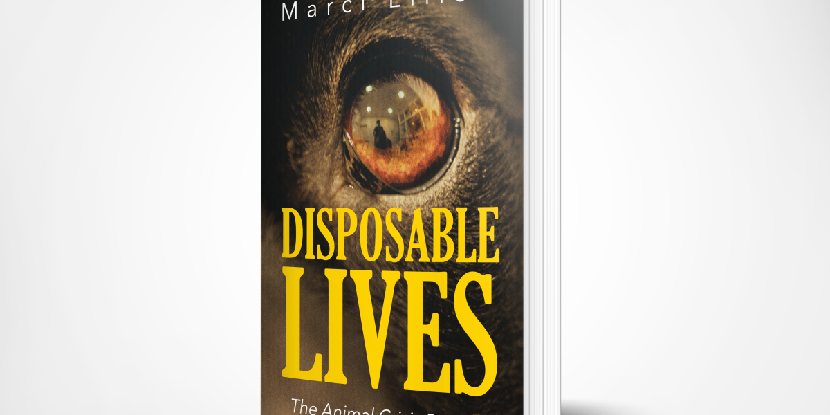 New Animal Welfare book DISPOSABLE LIVES: THE ANIMAL CRISIS PARADOX Asks How Can A Nation That Claims To Love Pets Still Allow Millions to Suffer and Die?