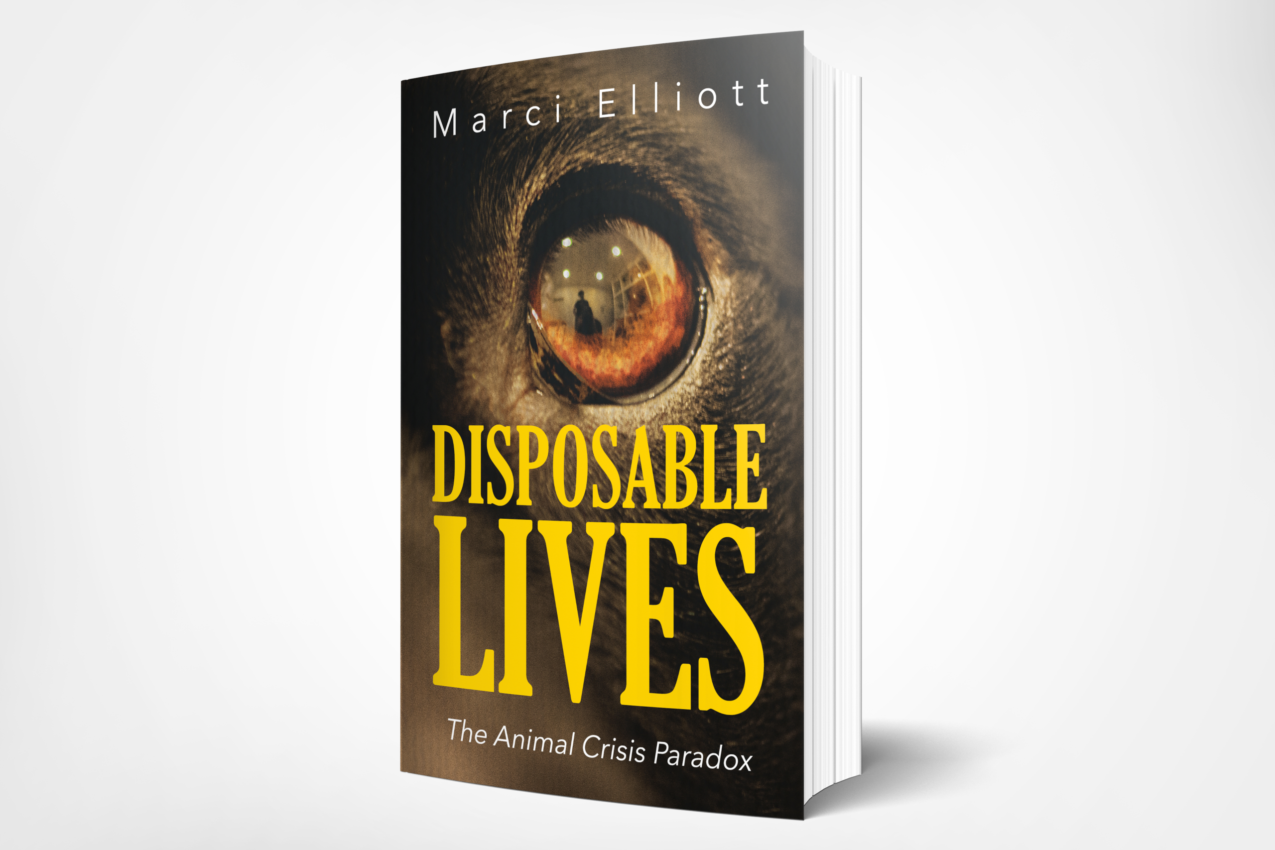 New Animal Welfare book DISPOSABLE LIVES: THE ANIMAL CRISIS PARADOX Asks How Can A Nation That Claims To Love Pets Still Allow Millions to Suffer and Die?
