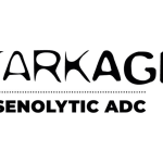 New Preclinical Data on STX-1, a First-in-Class Senolytic ADC, To Be Presented at AACR 2026