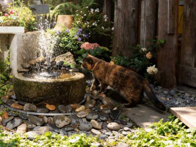 Poposoap Launches a Range of Wire-Free Solar Fountains in the UK