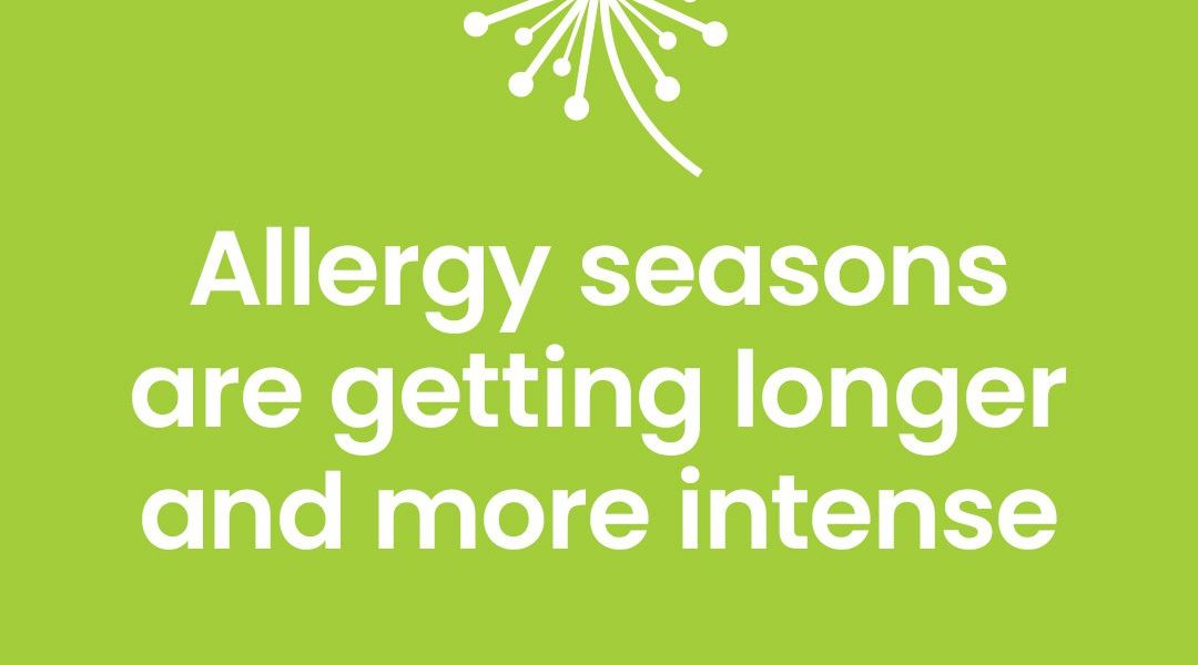 Sneezing Season Is Here: How to Manage Pollen Allergy So Symptoms Don’t Ruin Your Spring