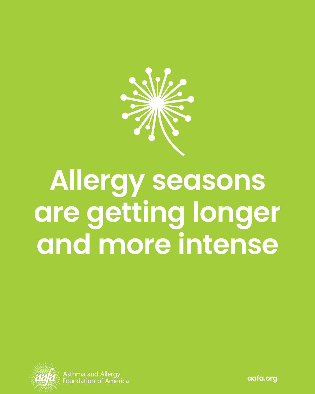 Sneezing Season Is Here: How to Manage Pollen Allergy So Symptoms Don’t Ruin Your Spring