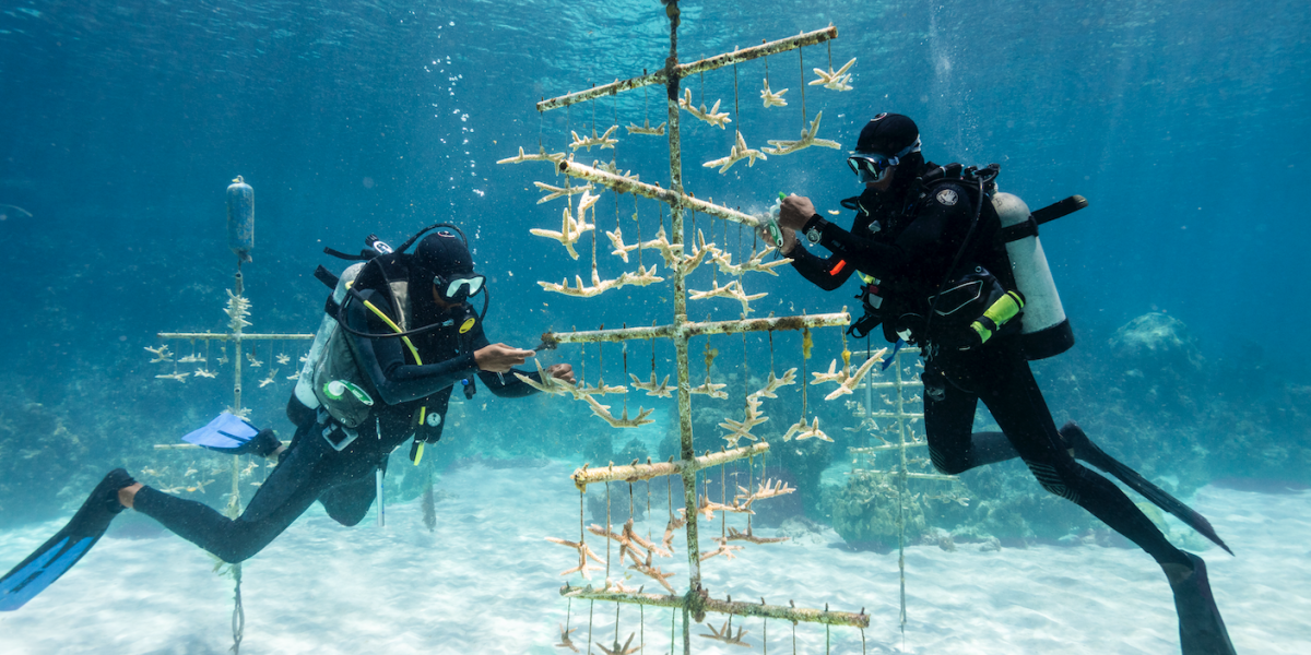 The Bahamas to Host 2027 Global Sustainable Tourism Council Conference