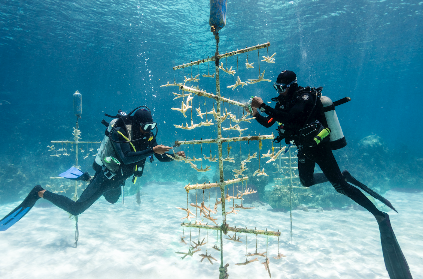 The Bahamas to Host 2027 Global Sustainable Tourism Council Conference