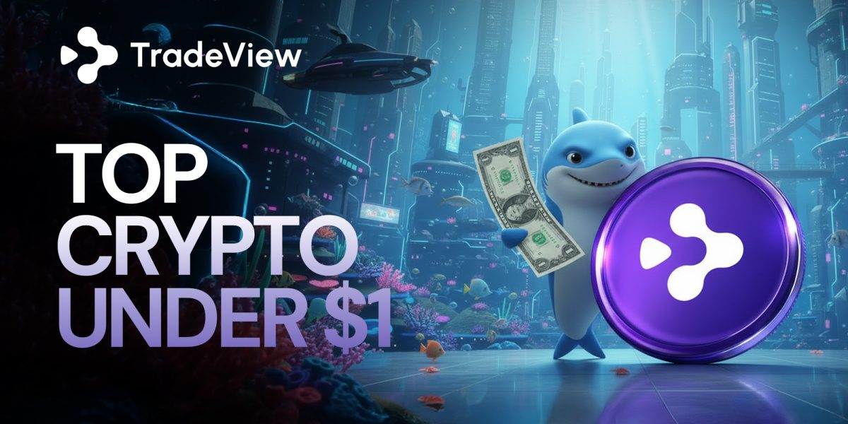 TradeView Announces Explosive Presale Momentum and DeFi Trading Infrastructure Ahead of Landmark Launch