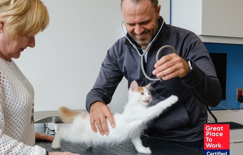 VCA Canada Earns 2026 Great Place To Work® Certification™