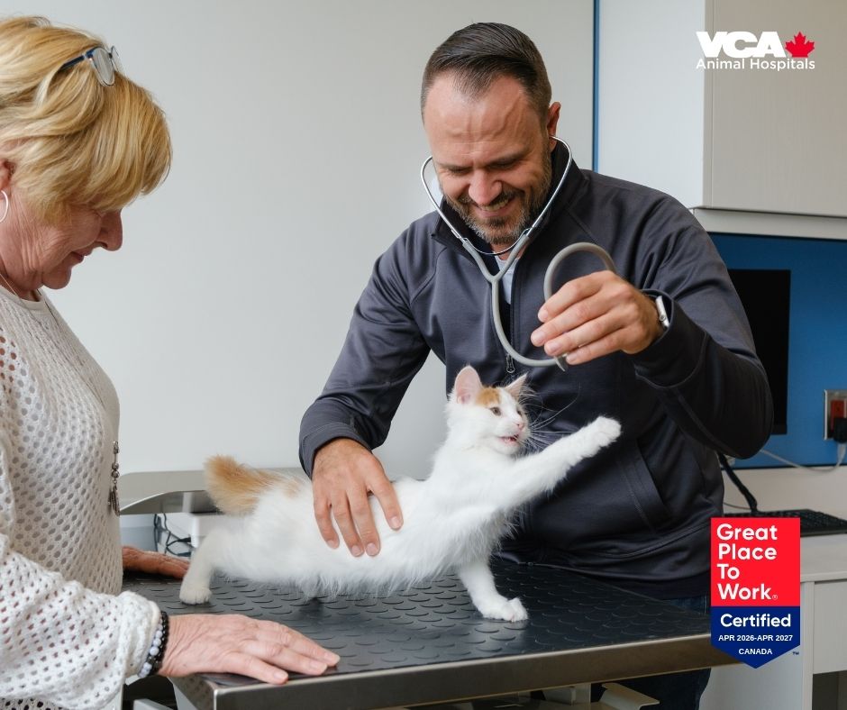 VCA Canada Earns 2026 Great Place To Work® Certification™
