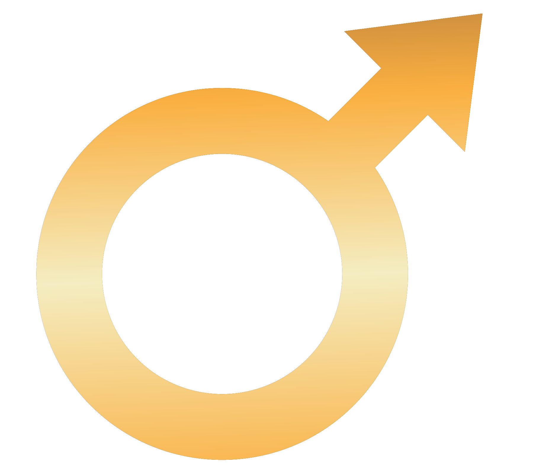 VigorX Pro Claims Evaluated: The VitalPro ManForceX Supplementation Method Working for Men Worldwide