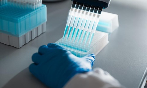 GlycanAge to Host Landmark Conference Focused on Practical Applications of Inflammaging Research