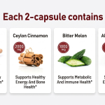 HiWell Absorfyx Berberine with Ceylon Cinnamon: A Modern Approach to Daily Metabolic Wellness and Weight Management Support