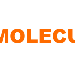 Independent Cleveland Clinic Review Finds No Clinically Significant Cardiotoxicity with Moleculin's Annamycin in R/R AML Patients Dosed Beyond Conventional Anthracycline Limits