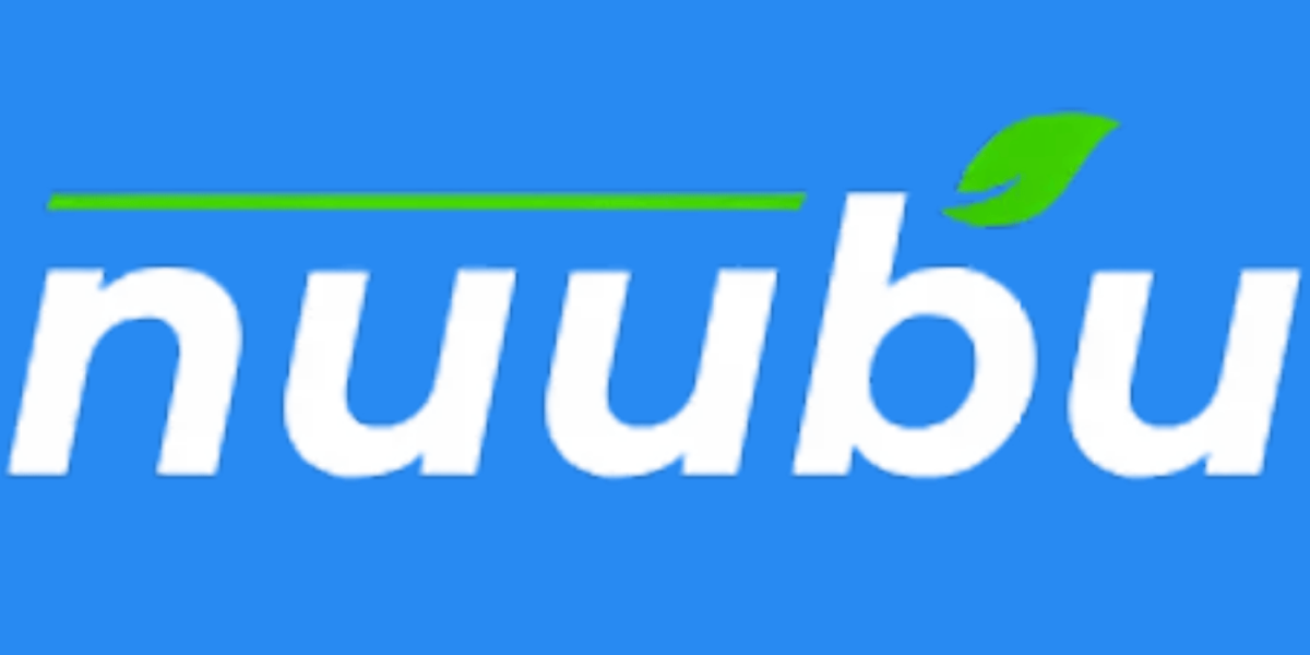 Nuubu Detox Foot Patch Claims Evaluated: Investigating the Nuubu Deep Cleansing Pads for Healthy Toxin Removal