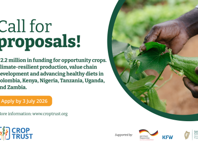 Power of Diversity Grants 2026 - Call for Proposals
