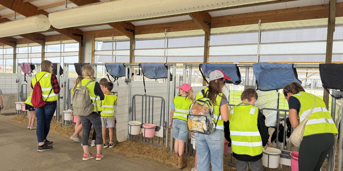 Wisconsin Dairy Farms Invite Students of All Ages to ‘Adopt a Cow’