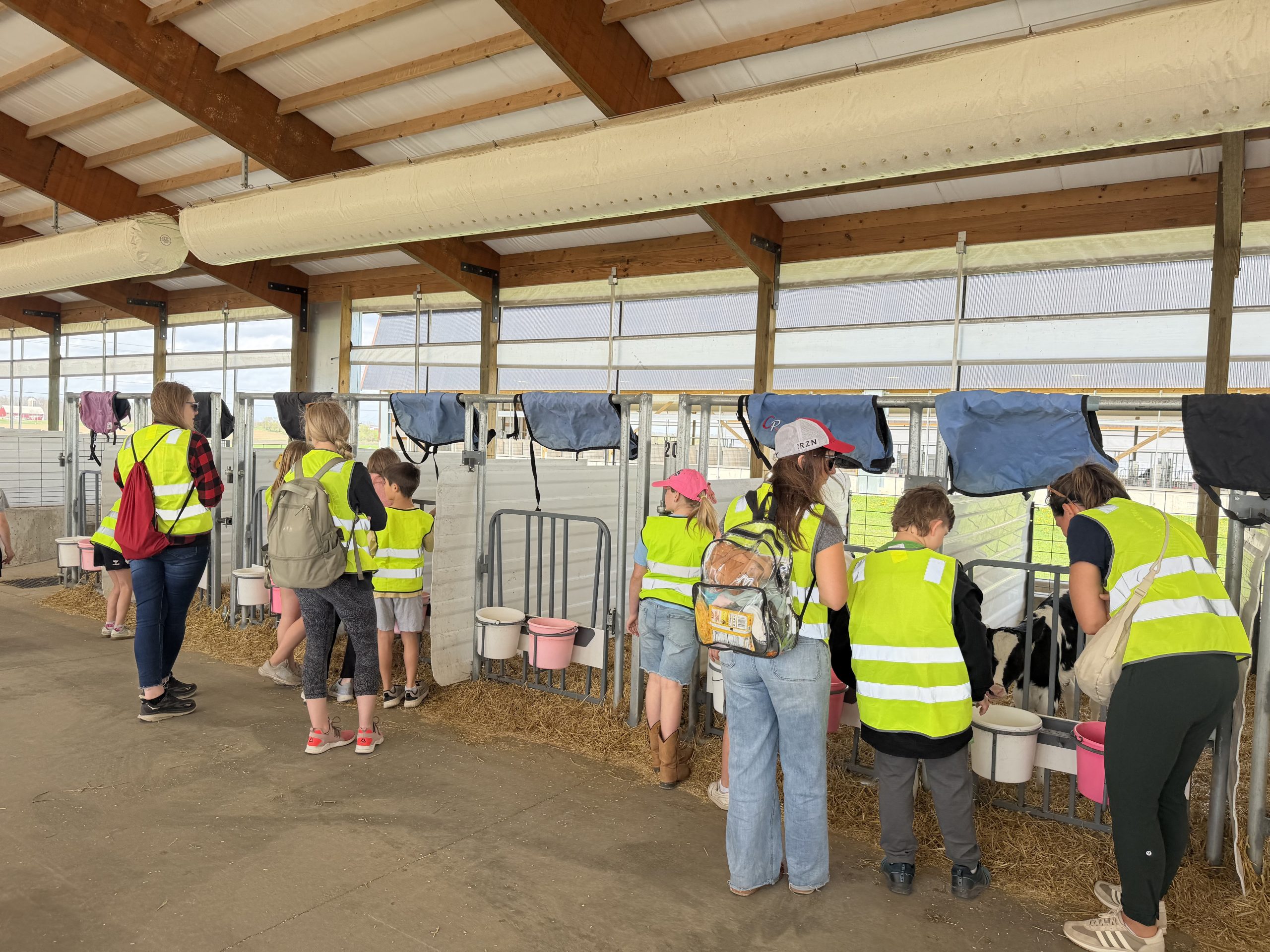 Wisconsin Dairy Farms Invite Students of All Ages to ‘Adopt a Cow’