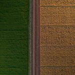Grupo Bimbo Surpasses 500,000 Hectares Under Regenerative Agriculture Practices