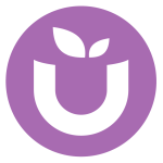 Ube Superfood Unveils Premier Organic Purple Yam Powder Blend Amid Global Ube Craze