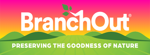BranchOut Food Inc. Announces Proposed Public Offering