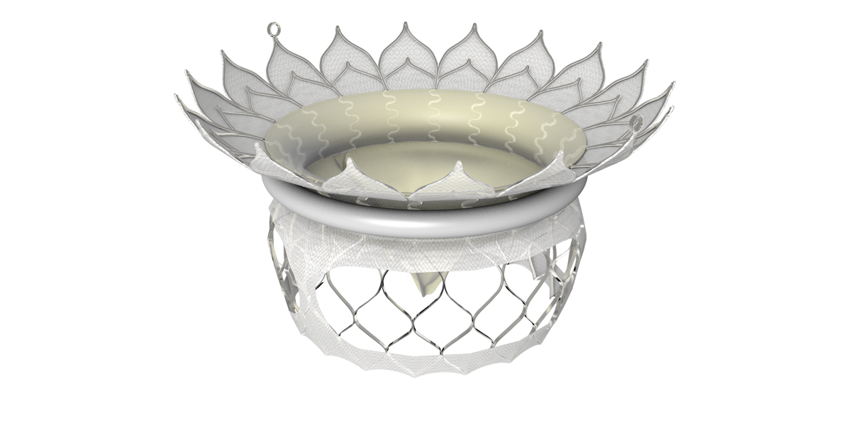 HighLife Receives CE Mark Approval for Clarity Valve, the Next-Generation Valve for the HighLife TMVR System