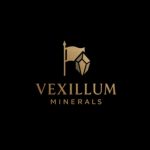Vexillum Minerals Strengthens Executive Leadership as Company Advances Global Growth & Public Market Strategy